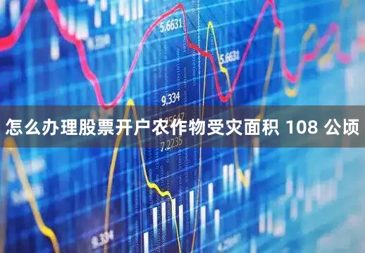 怎么办理股票开户农作物受灾面积 108 公顷