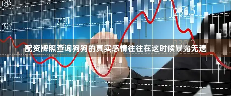 配资牌照查询狗狗的真实感情往往在这时候暴露无遗