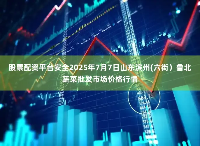 股票配资平台安全2025年7月7日山东滨州(六街）鲁北蔬菜批发市场价格行情