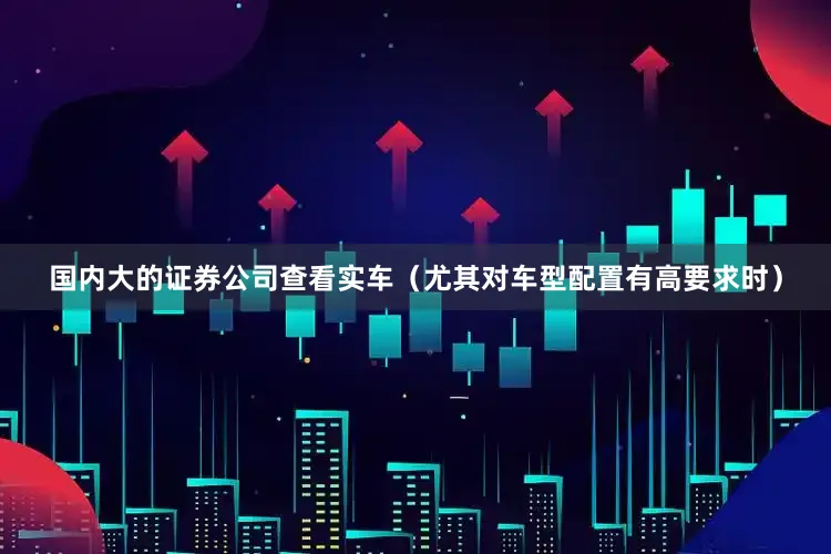 国内大的证券公司查看实车（尤其对车型配置有高要求时）