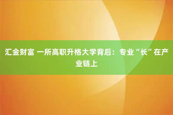汇金财富 一所高职升格大学背后：专业“长”在产业链上
