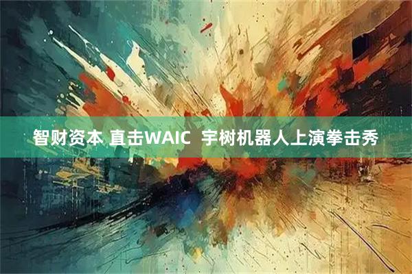 智财资本 直击WAIC  宇树机器人上演拳击秀