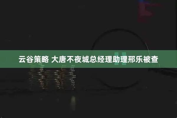 云谷策略 大唐不夜城总经理助理邢乐被查