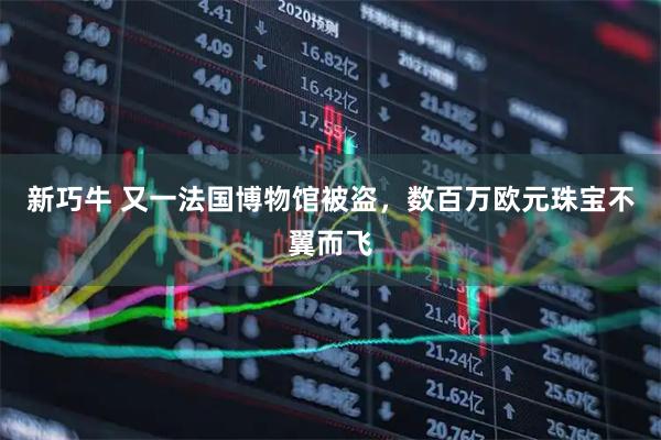 新巧牛 又一法国博物馆被盗，数百万欧元珠宝不翼而飞